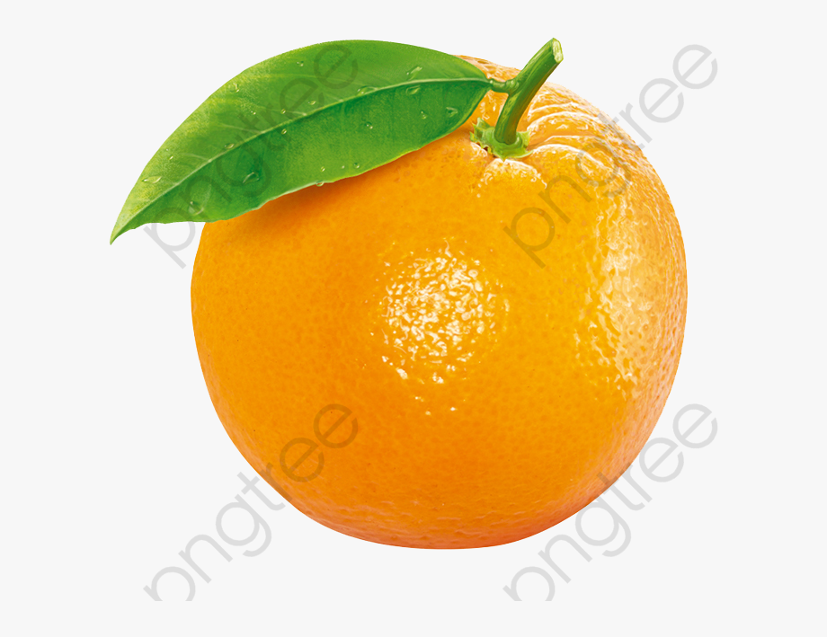 oranges clipart orange fruit