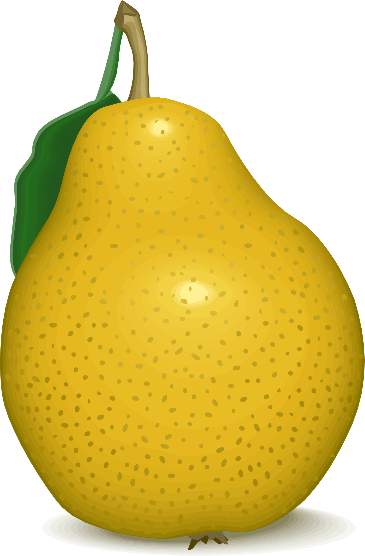 Pear clipart food, Pear food Transparent FREE for download on