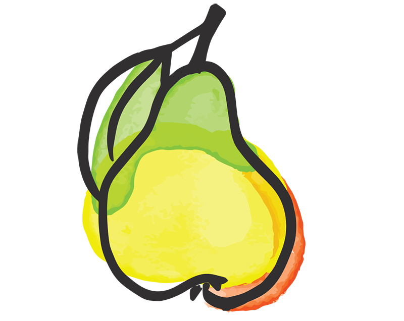 Pear illustrated