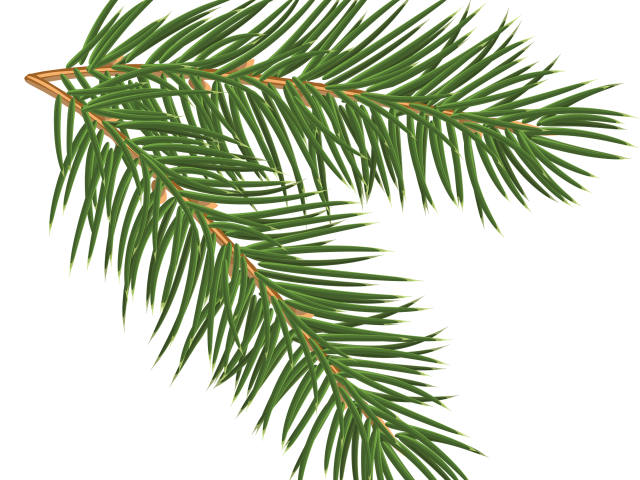 funeral clipart burung