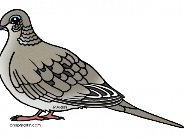 Mourning dove frames illustrations. Funeral clipart halloween
