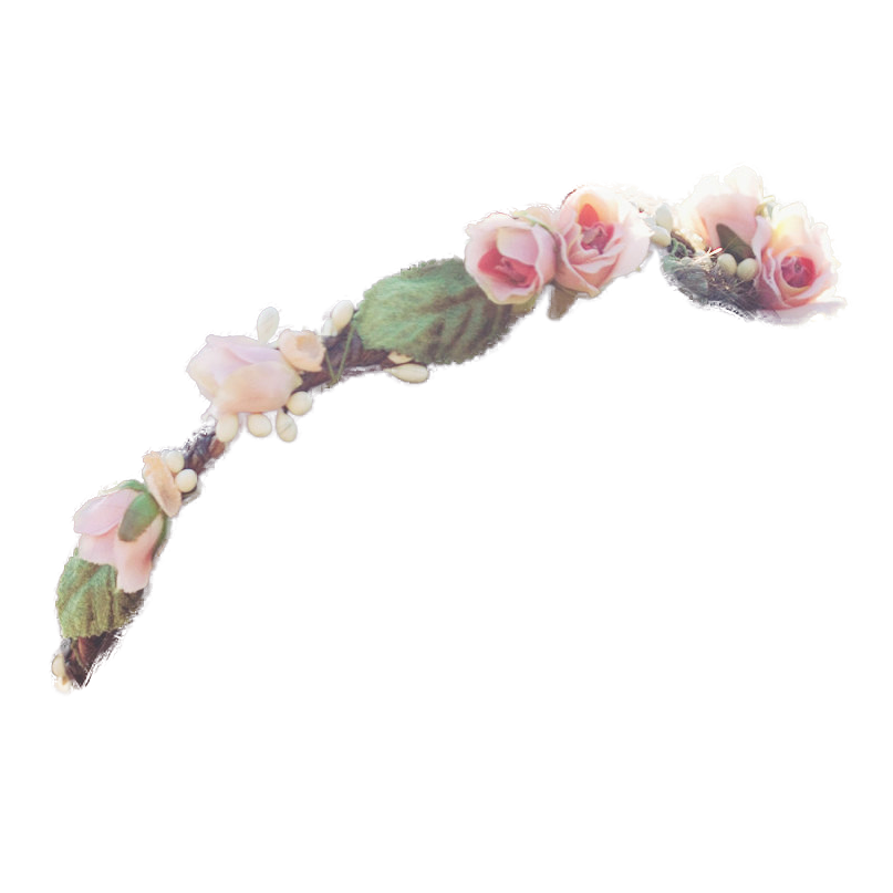 Google search youtubers pinterest. Flower crown transparent png