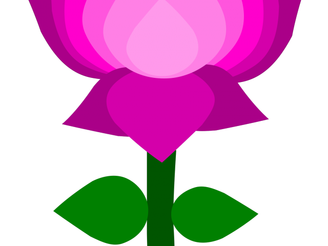 lotus clipart jpeg