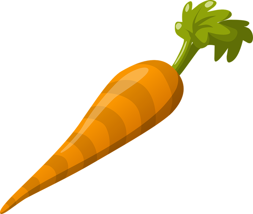 garden clipart carrot