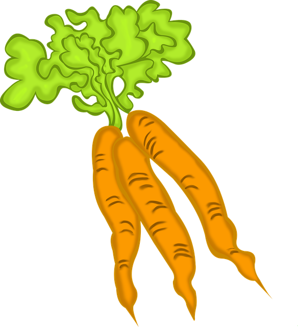 Garden clipart carrot. Val s bc reads