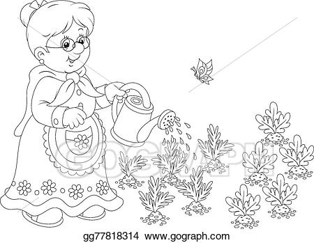 Gardener clipart grandmother. Vector stock granny watering