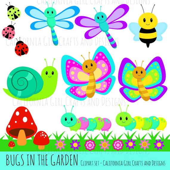 garden clipart insect