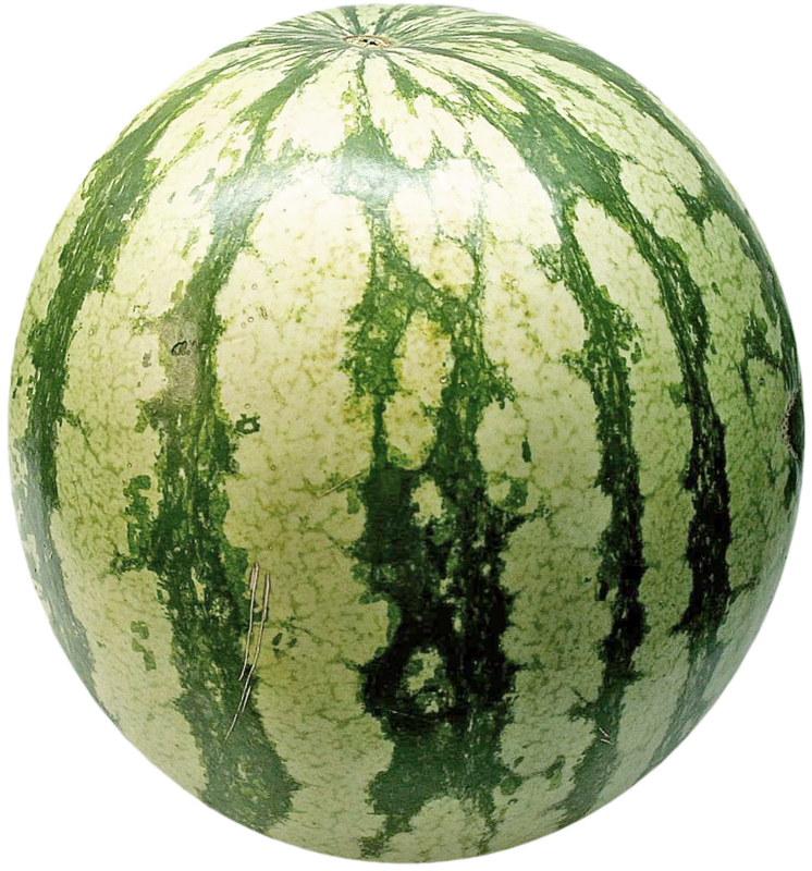 Watermelon patch