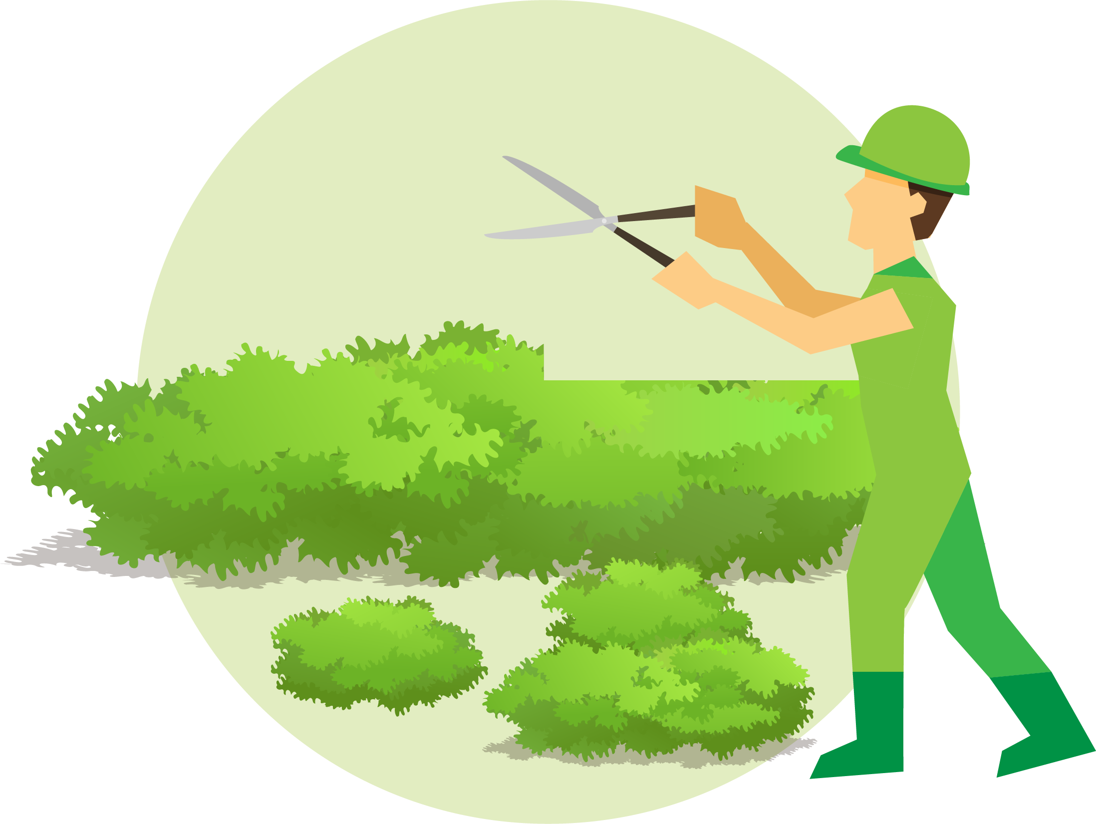Garden planning guide professional. Landscaping clipart hedge cutting