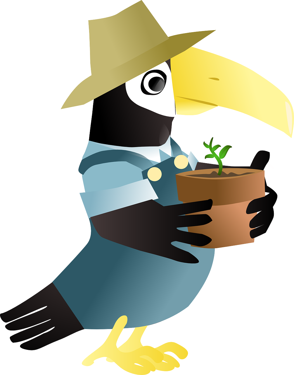 Jungle clipart toucan. Free image on pixabay