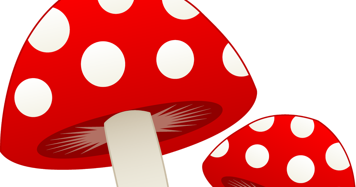 Mushrooms clipart portobello mushroom. Confessions of a composter