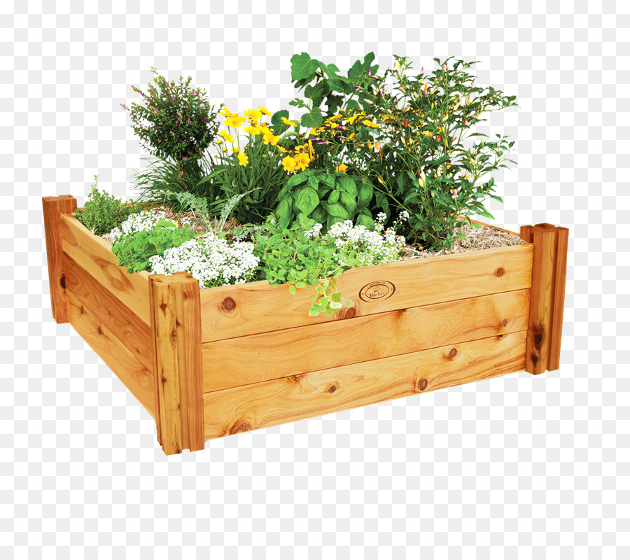 gardening clipart garden box