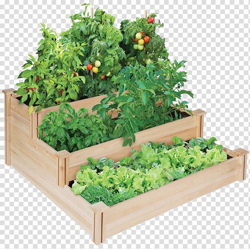 gardening clipart garden box