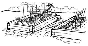 gardening clipart garden row