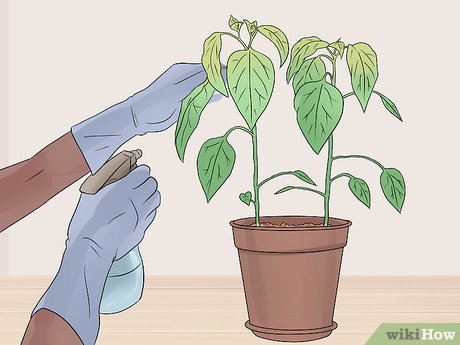  ways to take. Gardening clipart plant care