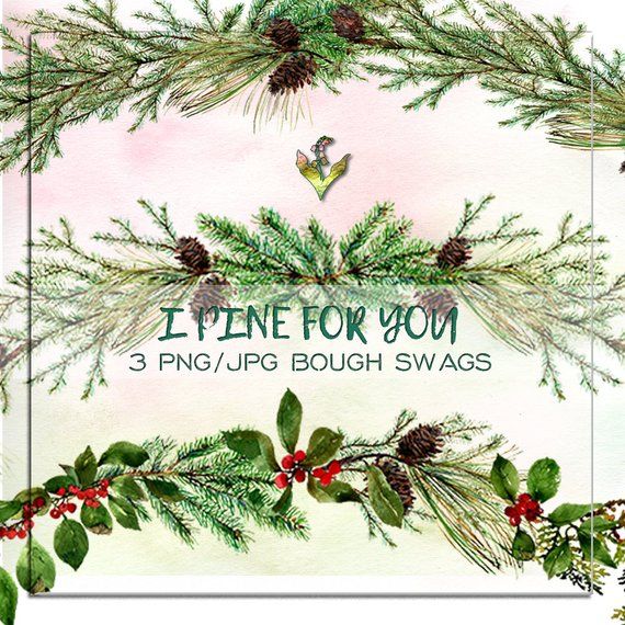 Pinecone clipart evergreen. Pine swag bough christmas