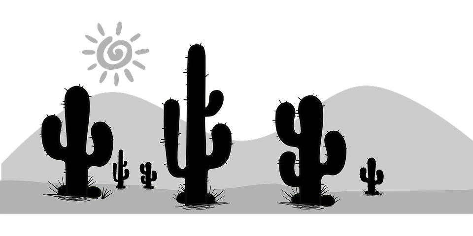 succulent clipart barrel cactus