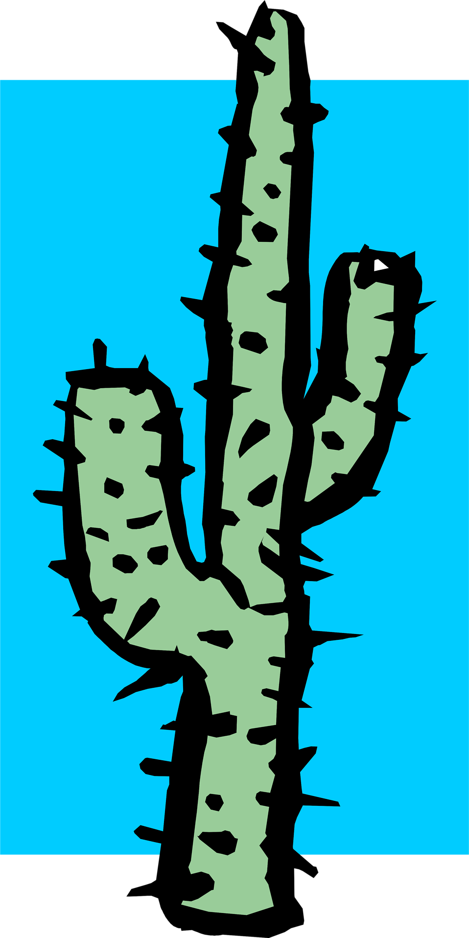 garland clipart cactus