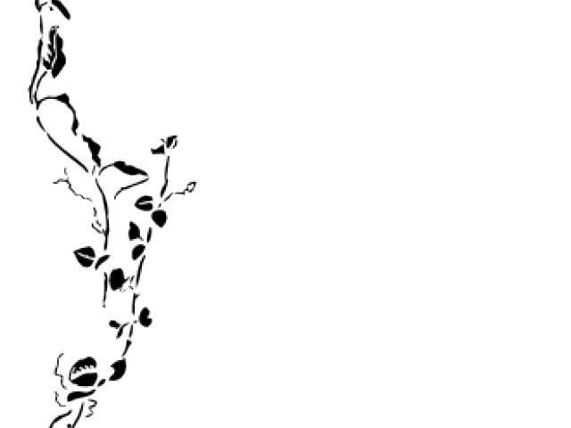 garland clipart divider