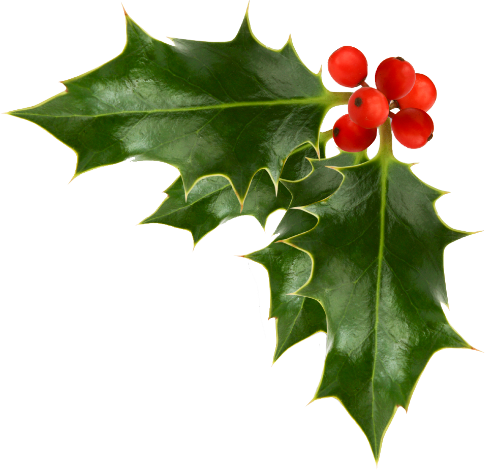 garland clipart holly and ivy