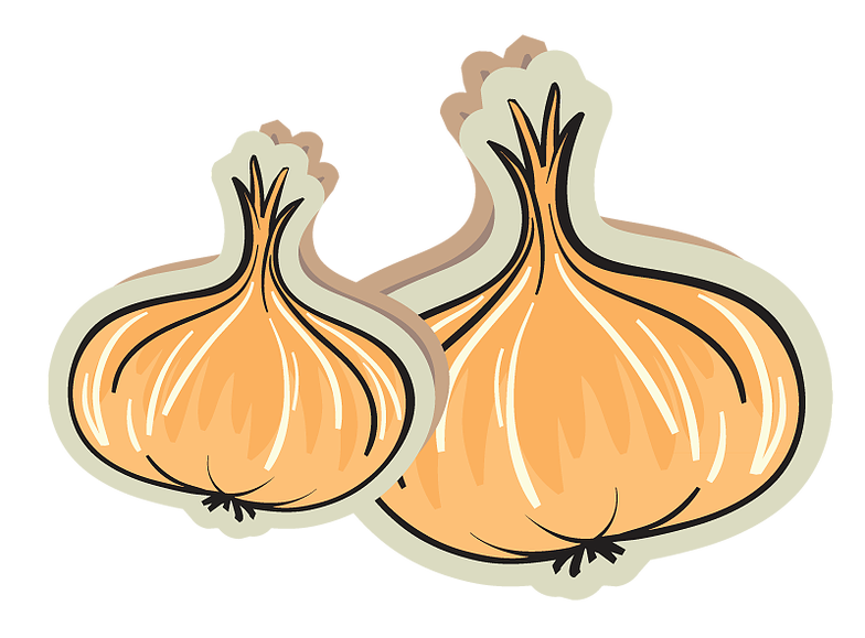 onion clipart onion slice
