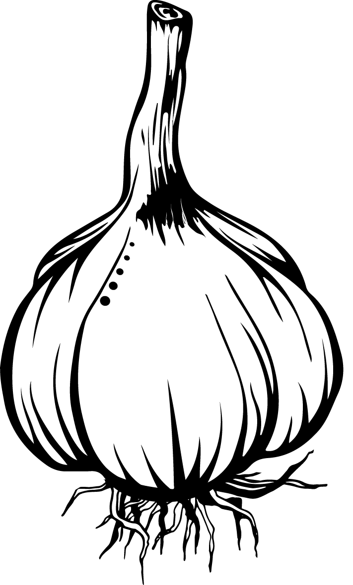 garlic clipart acrid