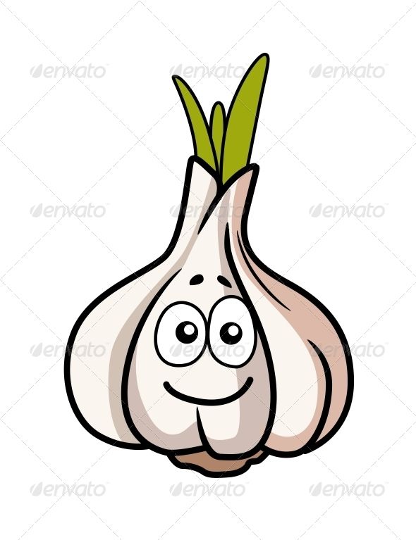 garlic clipart cartoon