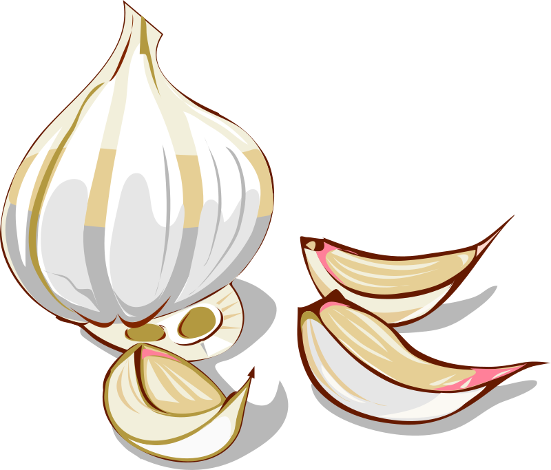 garlic clipart clip art