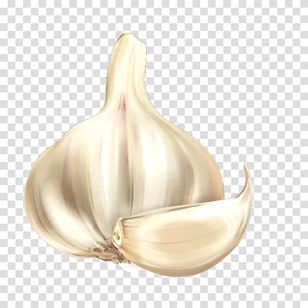 garlic clipart cute