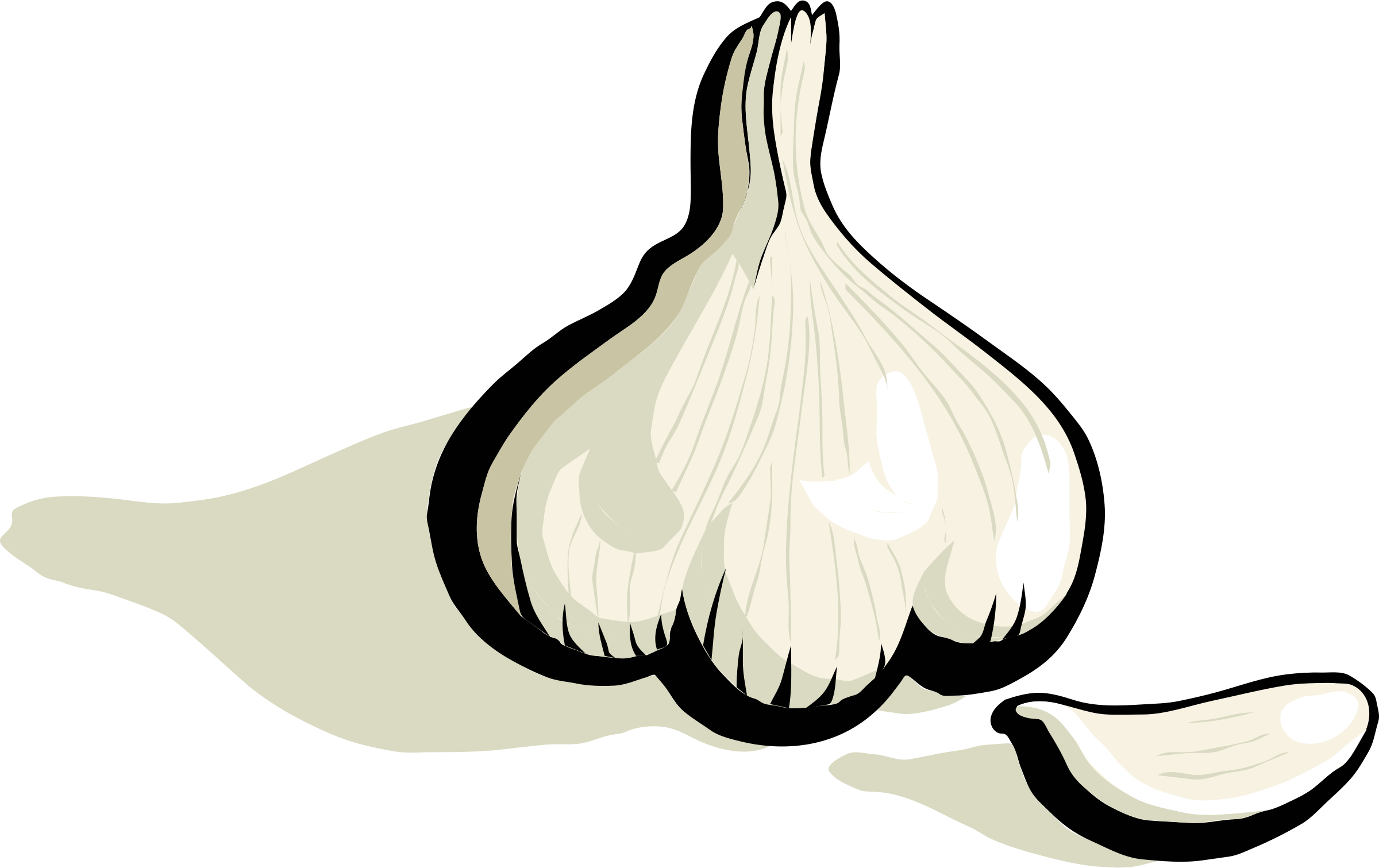 garlic clipart fresh