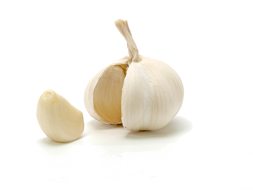 garlic clipart garlic bulb