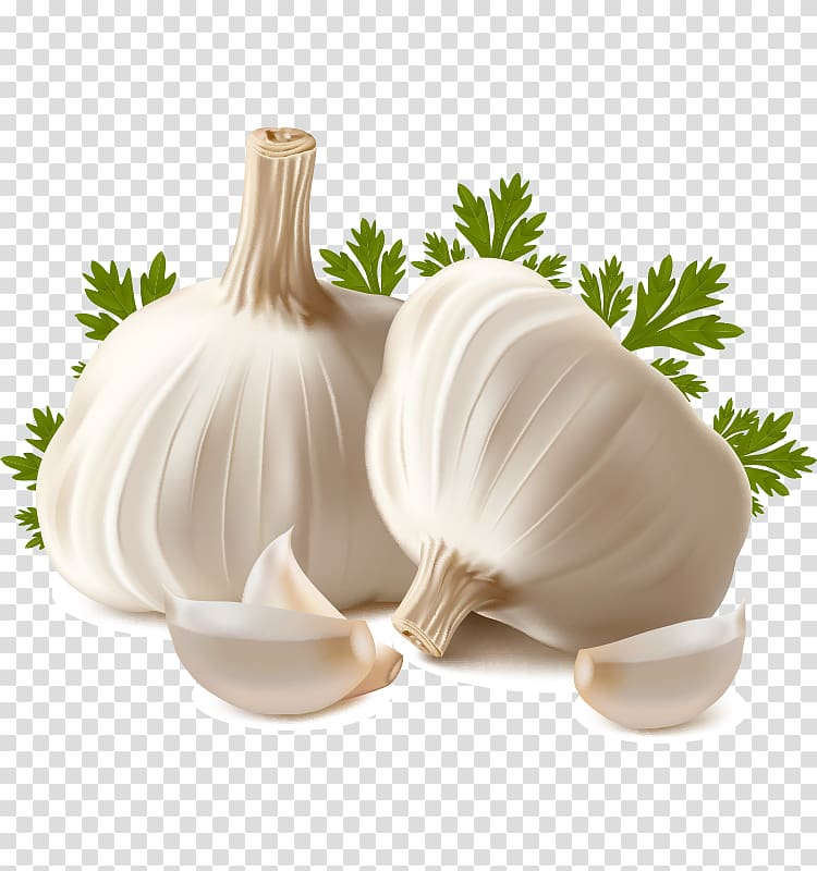 garlic clipart garlic bulb