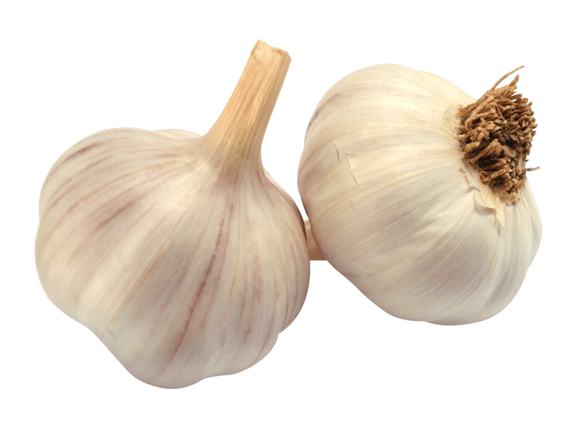garlic clipart garlic clove