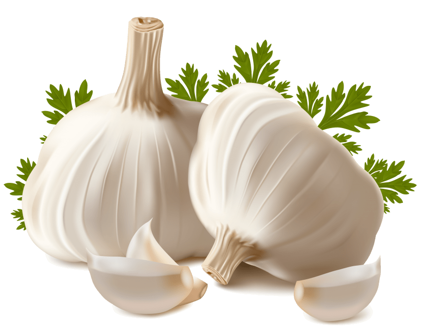 Garlic onion garlic