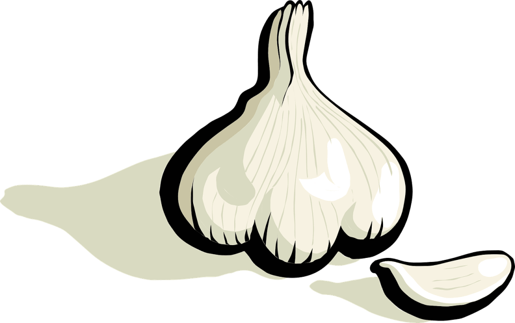 garlic clipart peeled