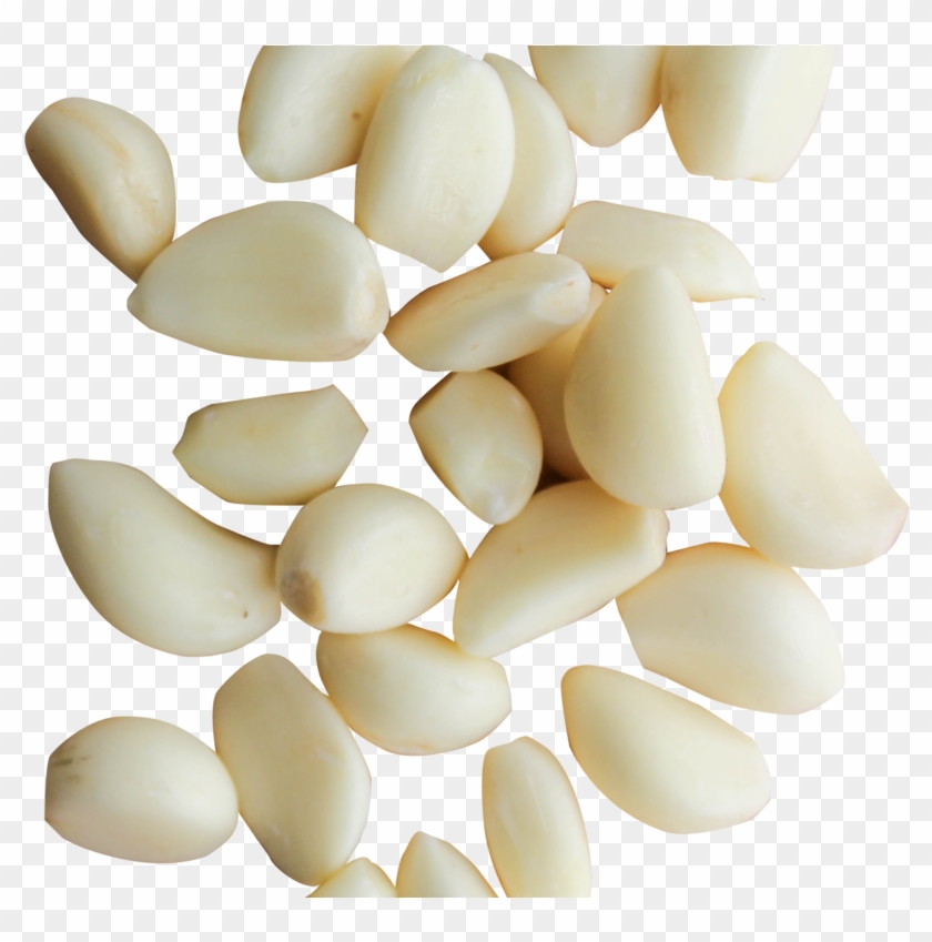 garlic clipart peeled
