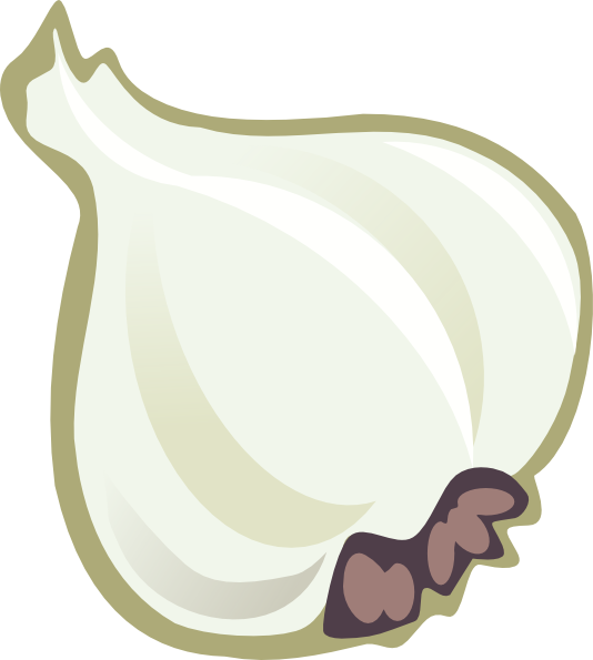 garlic clipart svg
