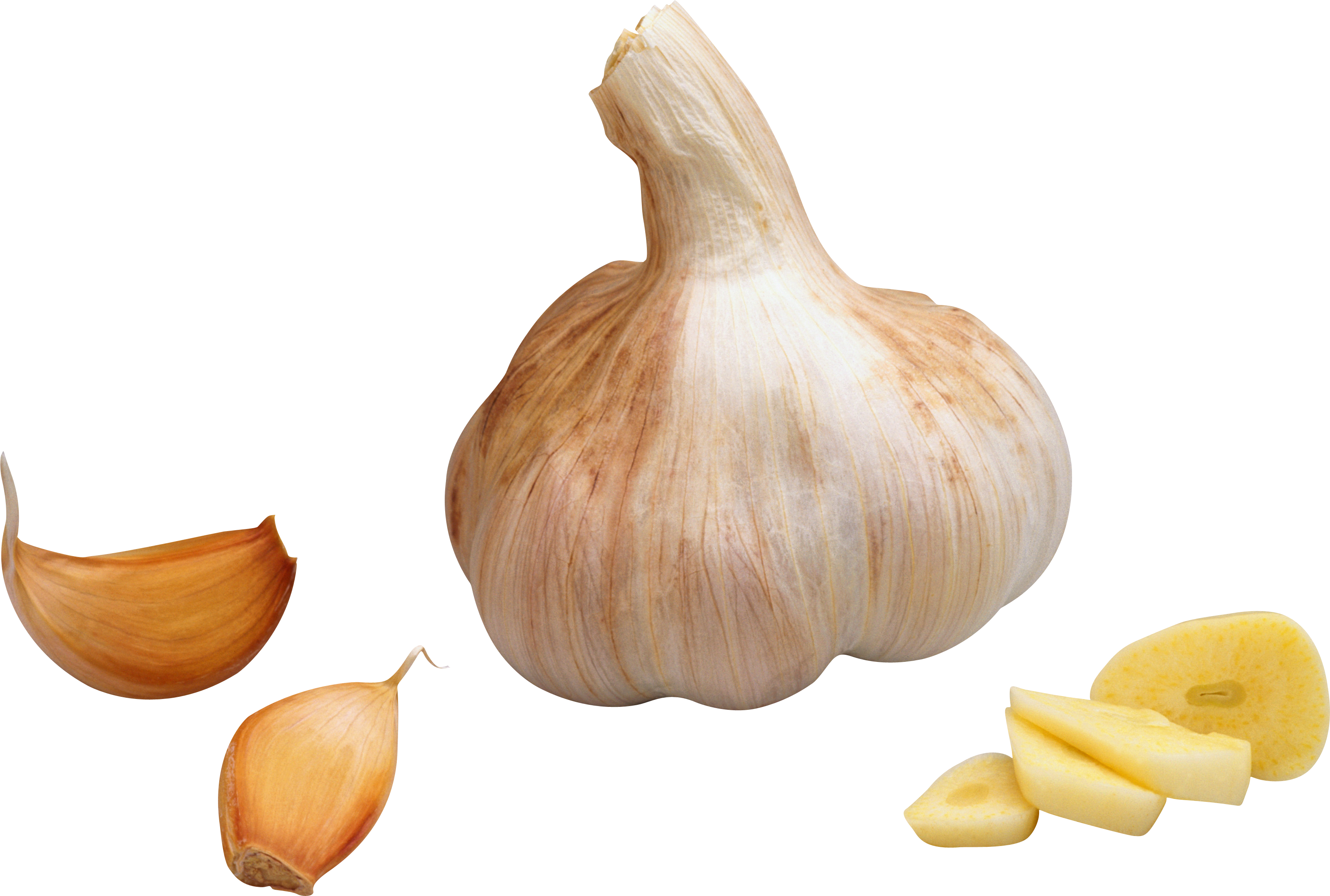 Garlic clipart transparent background. Png image purepng free