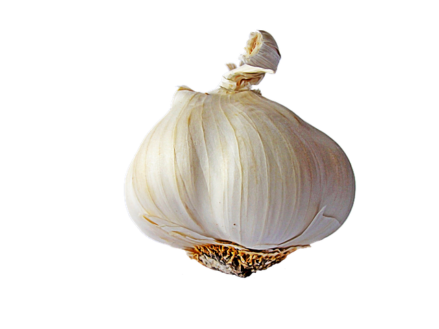 Garlic transparent background
