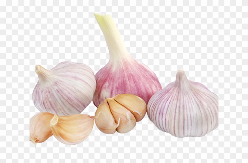 Garlic clipart transparent background. Vegetable png 