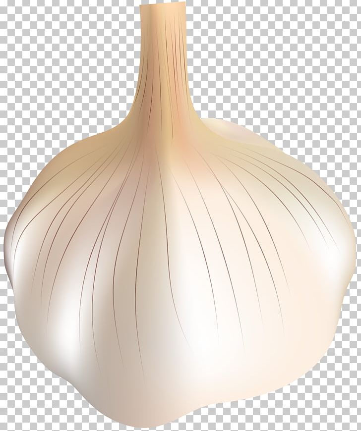 Png clip art . Garlic clipart transparent background
