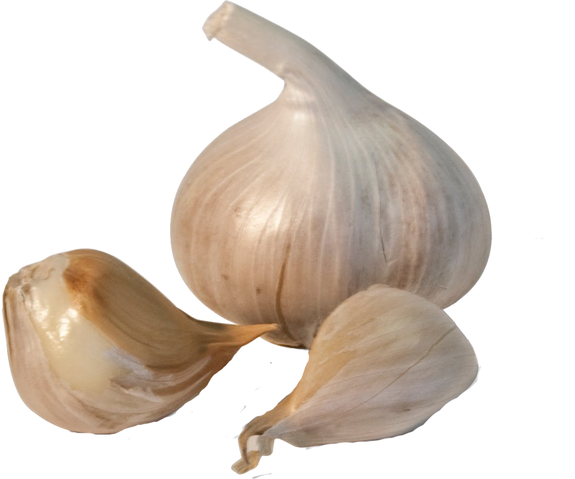Png images free download. Garlic clipart transparent background
