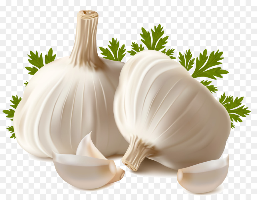 garlic clipart vegetable