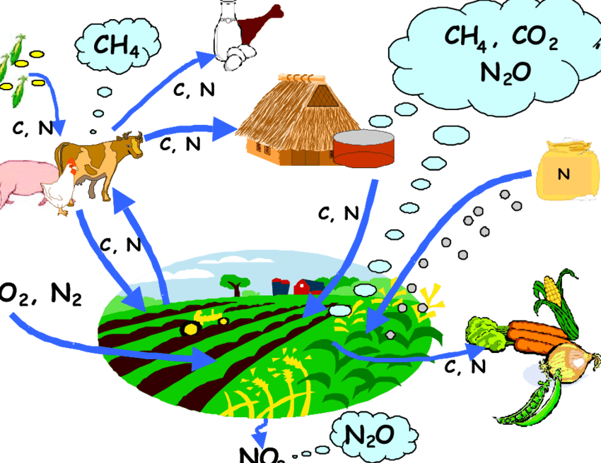 Schematic overview of the. Pollution clipart greenhouse gas emission