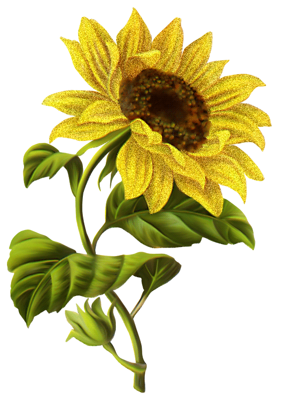 gate clipart sunflower