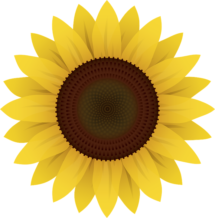 Pics qygjxz . Gate clipart sunflower