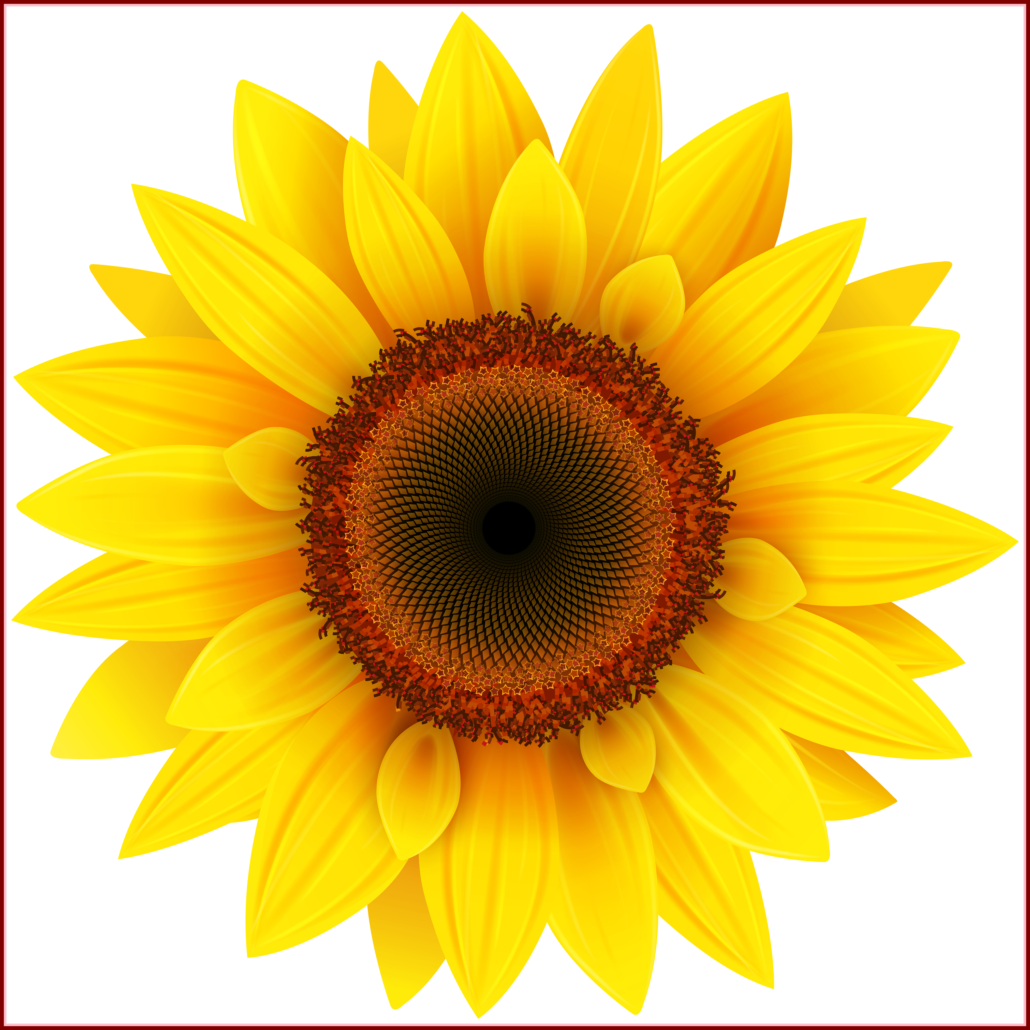 Free Free 294 Clipart Sunflower SVG PNG EPS DXF File
