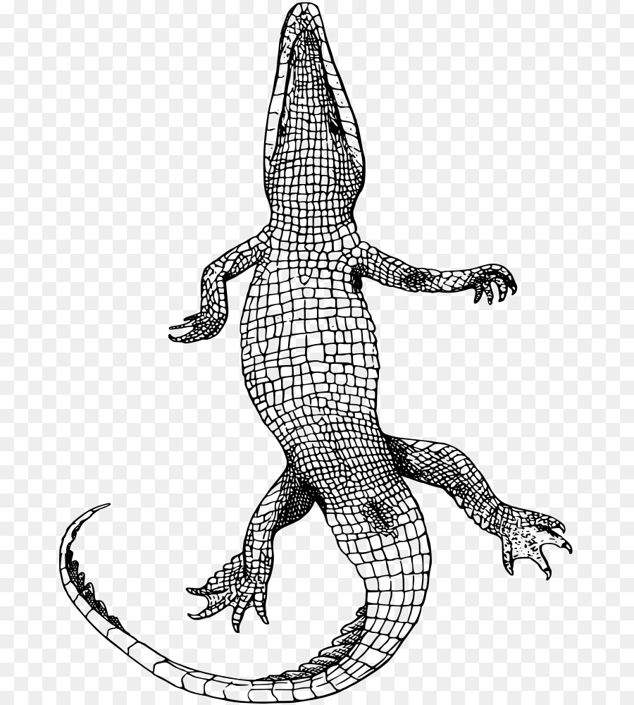 gator clipart saltwater crocodile