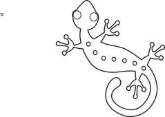 lizard clipart black and white