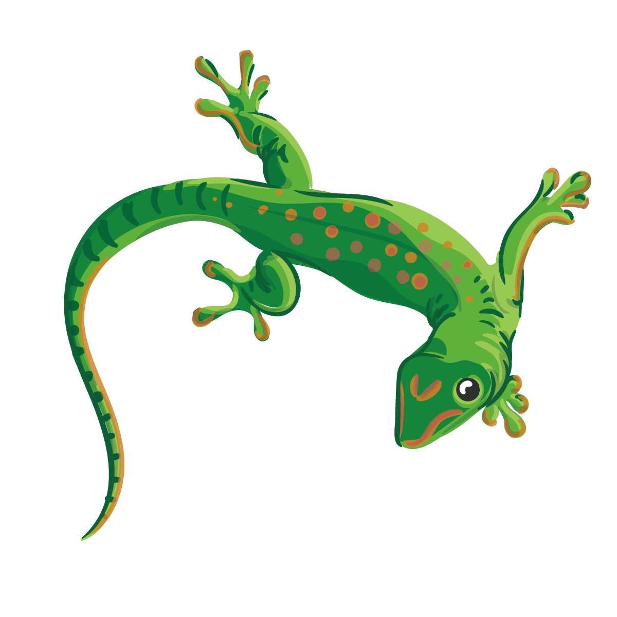 Chameleons euclidean vector illustration. Lizard clipart reptile amphibian